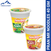 PRAN MR. NOODLES CUP AYAM/SAYURAN 60GM