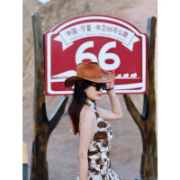 [COD] weasten cowboy style Cowboy hat, wide brim, fancy, fashion style, cowgirl hat, sun hat, adjust