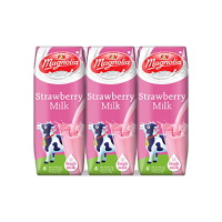 Magnolia UHT Strawberry Milk 6s X 250ml