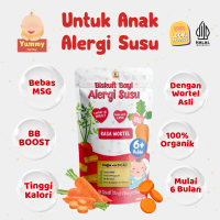 Biskuit Bayi Alergi Susu Sapi Rasa Wortel BB Booster, Lumer dimulut, Tanpa MSG, Tanpa Pengawet Bebis