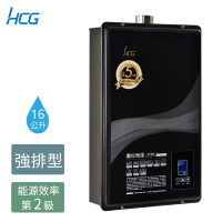 【HCG 和成】16公升數位恆溫熱水器-2級能效-不含安裝-GH1655(LPG/FE式)