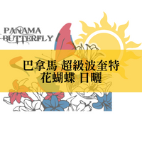 【咖啡匙 咖啡豆】巴拿馬 超級波奎特 花蝴蝶 日曬  120克/包（約1/4磅）