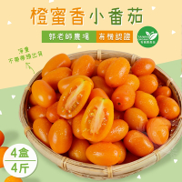 產地直送 郭老師農場有機認證橙蜜香小番茄禮盒4斤x4盒(淨重不帶蒂頭出貨)