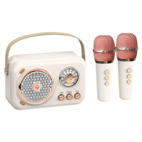 Portable Karaoke Machine Mini Karaoke Machine With Microphone Set, Vintage Bluetooth Speaker With Home Karaoke Machine (White)
