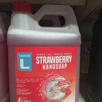 Choice l Hand Soap Icy mint Sabun Cuci Tangan 4 Liter