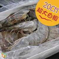 汶萊白蝦(共1盒 600g ±10% 約 9-11尾/盒-生蝦活凍)