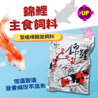 UP 雅柏 錦鯉飼料 錦鯉主食飼料 上浮性  龍鯉  鯉魚 公園餵魚 養殖場指定用料  星星水族 觀賞魚