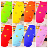 2016 CWQ dog clothes spring collection Bentley Bear puppy pet colorful polo shirt poodle puppy cloth
