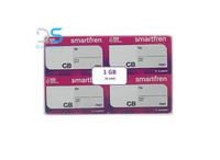 Voucher Smartfren Unlimited 1 GB 28 Hari