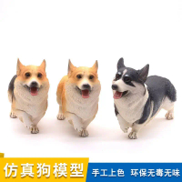 Mô Hình Tượng Nhỏ Chó Corgi Wales, Mô Phỏng, Đồ Trang Trí Chó Cưng, Đồ Chơi Nhựa Nhỏ Thích Hợp Cho C