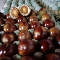Telur Asin Bakar 100% Asli Brebes isi 10pcs Telur Asin Bakar