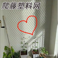 傢用厚大孔塑膠網DIY爬藤網格網片花墻包水管綠植爬藤塑料網 0OKH