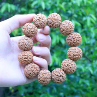 Indonesia New Seed Original Seed Rudraksha Bracelet Men's Big Rudraksha Beads Six-Petal Nine-Petal Buddha Beads Bracelet for Wom