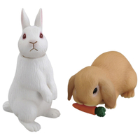 【Fun心玩】AN11952 麗嬰 日本 TAKARA TOMY 探索動物 多美動物 AS-34 兔子 聖誕 生日 禮物
