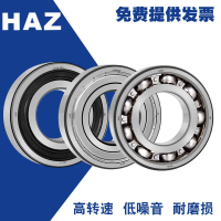 Lelaki Galas, Beruang Harbin, 6300, 6301, 6302, 6303, 6304, 6305, 6306, 6307Z, RS