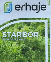 Benih Erhaje - Kale Curly Starbor F1