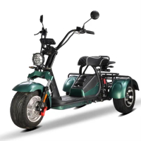 2000W 60V electric tricycles high speed 3 wheel electric scooter citycoco electric scooters 3 wheel adult
