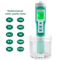 YY-1010 10 in 1 YY-1101 7 in 1 DIgital PH Meter Tds Tester Digital ORP EC Salinity H2 S.G Suhu MQ Ke