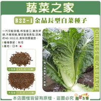 【蔬菜之家】B22-1.金品長型白菜種子 (共2種包裝可選)