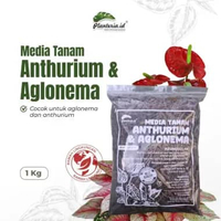 Media Tanam Aglonema Media Tanam 1 Kg Siap Pakai