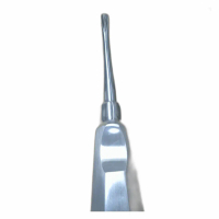 bein tumpul pendek / bein dental gigi tumpul pendek