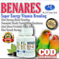 Obat Burung Macet Breeding. Merangsang Birahi burung lovebird