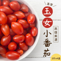 【禾鴻】高雄美濃溫室玉女小番茄3斤x4盒(送禮自用兩相宜)