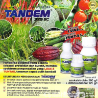 PRTN Fungisida Tandem 250ML 325SC Azoksistrobin + Difekonazole Biotis KP315TERBARU