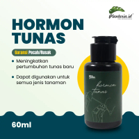 Obat Penumbuh Tunas Anggrek Hormon Penumbuh Tunas Keladi