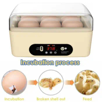 Small Egg Hatcher Box 6 Eggs With Temperature Control Egg Incubator Transparent Lid For Incubation Process Visible Gift For Kids