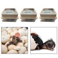 Automatic Egg Incubator Hatching Chickens Automatic Turning Incubator Small Poultry Hatcher for Quail Birds Chicken Pigeon