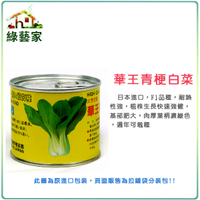 【綠藝家】大包裝A66.華王青梗白菜種子40克(日本進口)