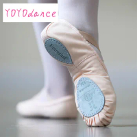 2024 Hot Adult Ballet Dance Shoes Ladies Professional Ballet Dance Shoes For Woman Canvas Ballet Dancing Shoes