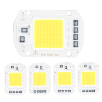 50W 30W 20W 10W 5W LED Bulb COB Chip Beads led Lamps 220v no need driver For Outdoor Indoor FloodLight Backlight Led module