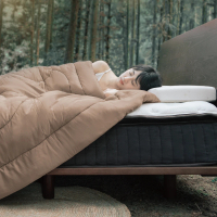 【LoveFu】月眠枕基本款 + 森呼吸永衡被-秋栗棕x單人5尺(MOMO獨家組合)