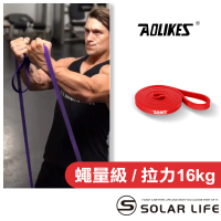 【AOLIKES 奧力克斯】重訓健身瑜珈彈力拉力帶208cm 紅7-16kg(阻力帶拉力圈 高彈力乳膠 彈性阻力圈)
