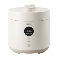 New electric pressure cooker household automatic new type rice cooker mini small 2 person small rice cooker voltage cooker