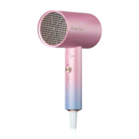 Cool A Styler Hair dryer 2000w RCY-2000