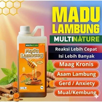MULTINATURE - Madu Lambung 1Kg Atasi Asam lambung maag & gerd