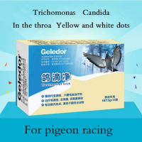 Trichomonas candida pigeon medicine pigeon drip net homing pigeon parrot bird special pigeon common diseases