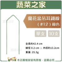 【蔬菜之家005-D147-GR】蘭花盆吊耳鐵線( #12 ) 綠色 (共2種規格可選)