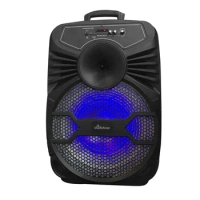 Hot Selling 15 inch large karaoke wireless bluetooth speaker with USB port LED light Bluetooth karaoke Speaker
