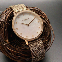 【COACH】COACH手錶型號CH00147(貝母錶面金色錶殼金色米蘭錶帶款)