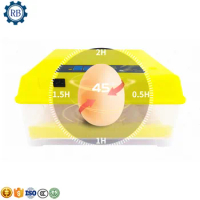 Small Chicken Duck Goose Egg Incubator Mini Home Poultry Eggs Incubating Hatching Machine 36 Pcs Eggs Hatchery Brooder