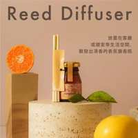 John's Blend - 藤條香氛擴香瓶迷你版50ml (香橙麝香/ORANGE MUSK)