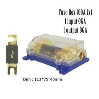 FUSE BOX +SWITCH 100A Trapezoid Shape Audio 1 in 1 Out Car Circuit Breaker Fuse Holder Amplifier