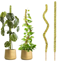 1PC Bendable Moss Pole for Plants Monstera Handmade Slim Plant Stakes for Indoor Plants Real Moss Pole Plant Climbing