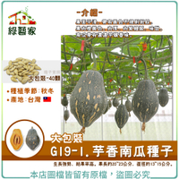 【綠藝家】大包裝G19-1.芋香南瓜種子 40顆