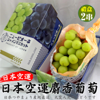 【果之蔬】日本空運無籽麝香葡萄1房x2盒(450~500g/串)