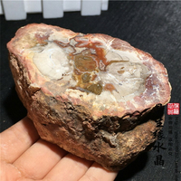 天然木化石原石小墩擺件 礦物標本 實物圖可選